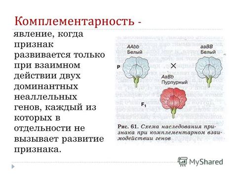 Развитие Оксимирона в отдельности