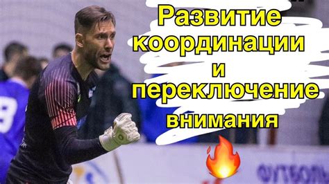 Развитие координации и реакции