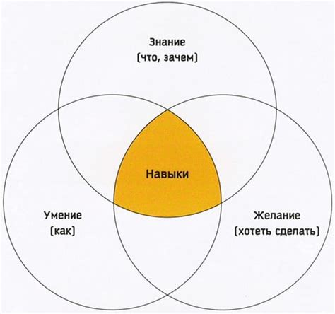 Развитие навыков: секреты для становления иллюстратором-экспертом