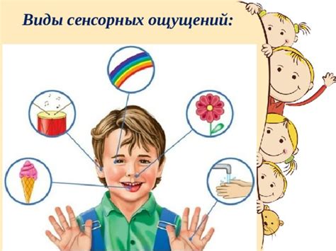 Развитие сенсорных ощущений