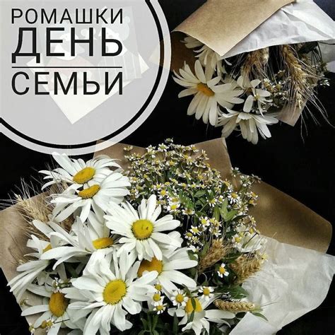 Развлечение для всех на любой вкус!