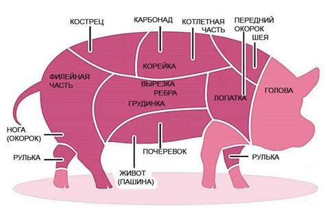 Разделение на кости и мясо