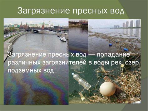 Раздел 1: Загрязнение еды