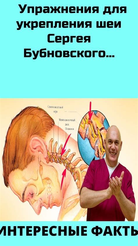 Раздел 1: Способы укрепления шеи
