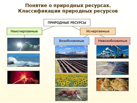 Раздел 4: Использование природных элементов