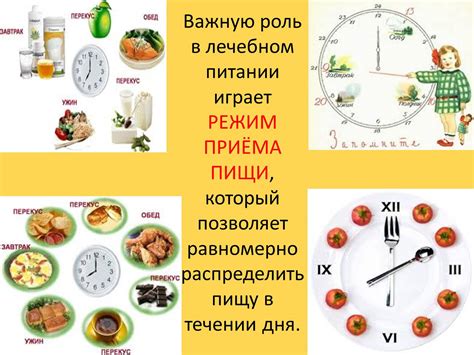 Раздел 6: Правильное питание и режим