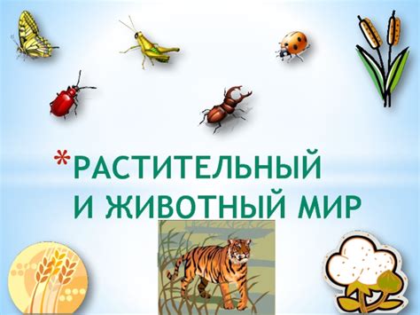 Раздел I: Животный мир