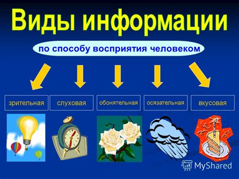 Различие восприятия информации