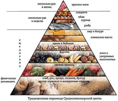 Различия в потребностях и привычках питания