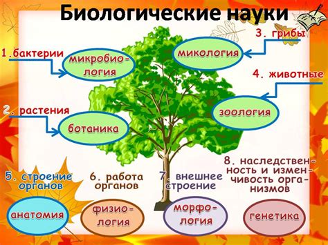 Различия в природе создания