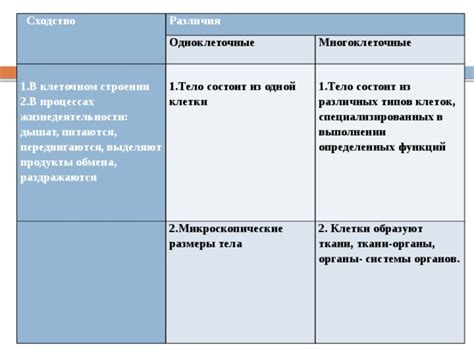 Различия в строении и жизнедеятельности