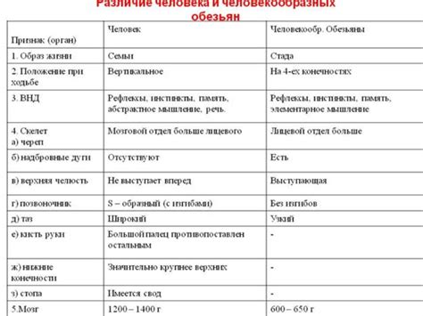 Различия в строении тела у разных людей