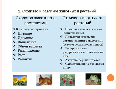 Различия и особенности шаблонов