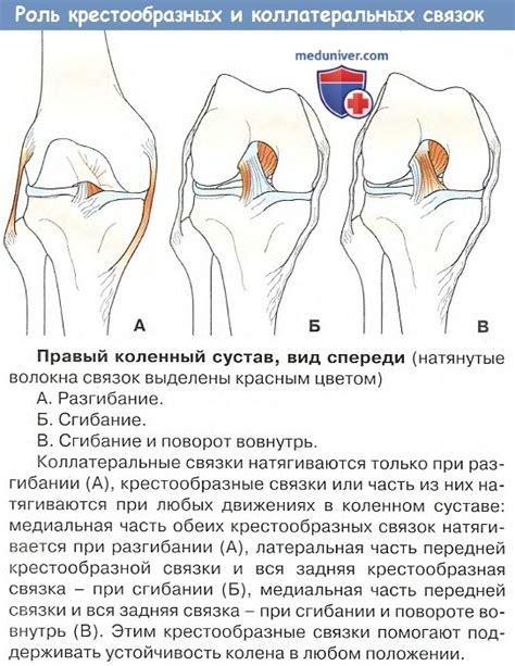 Различные значения связки "с тем что"