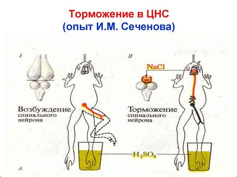 Различные методы тренировки рефлексов и реакции
