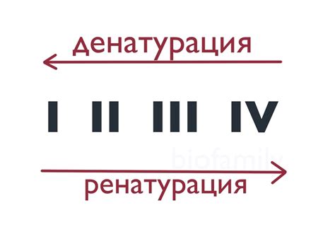 Разложение белка при приготовлении