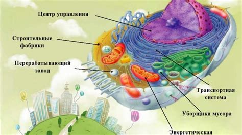Разложение клеточных структур