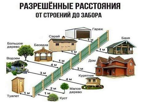 Размещение елей на участке: выбор места и правила расположения