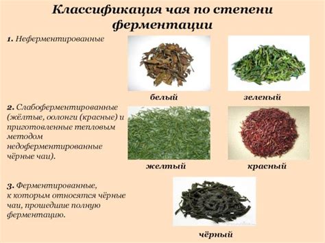 Размол солода