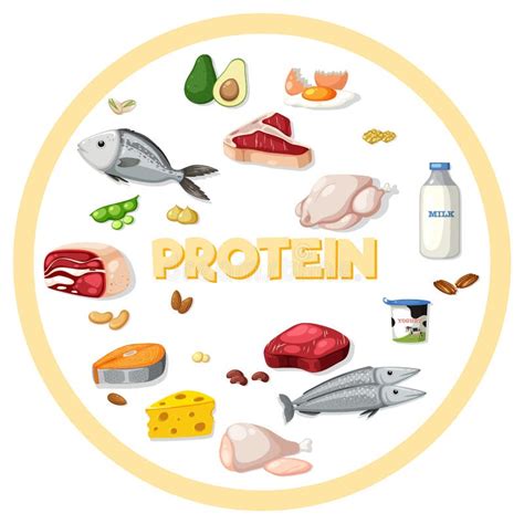 Разнообразие белковых продуктов