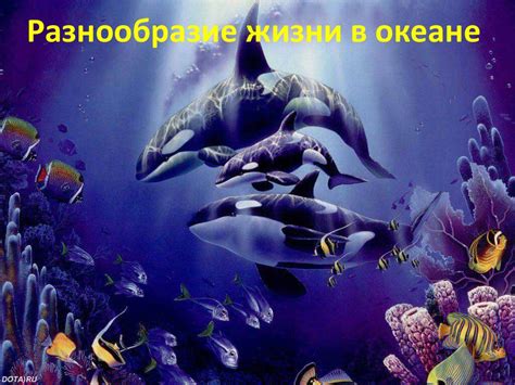 Разнообразие жизни