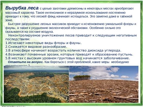 Разнообразие лесных массивов
