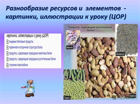 Разнообразие ресурсов