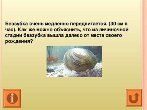 Разнообразные познавательные задачи для мозгового тренинга