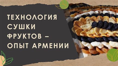Разнообразные способы сушки фруктов