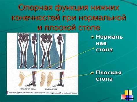 Разогрев и снятие боли при болезнях опорно-двигательной системы