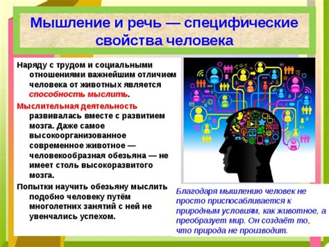 Разум и мышление как специфические черты человека