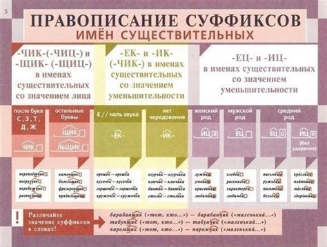 Разъяснение их значения и правила правописания