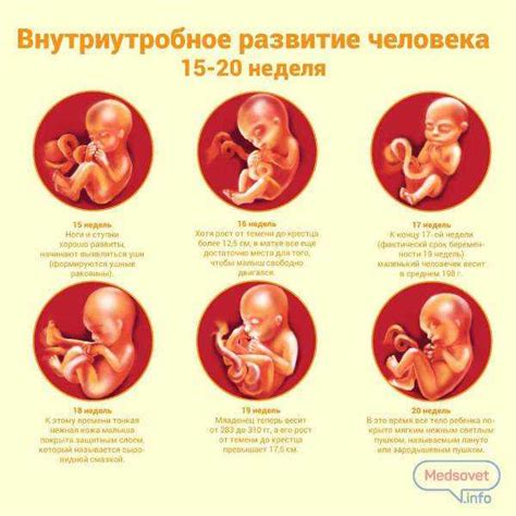 Ранние проблемы с развитием плода