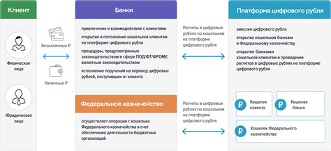 Раскрытие работы цифрового рубля: