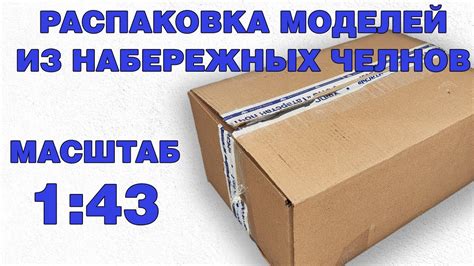 Распаковка загруженных моделей