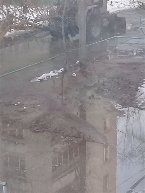 Расписание подачи воды в Засвияжском районе