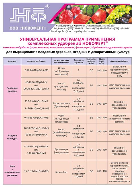 Расписание подкормок для ежевики в течение года