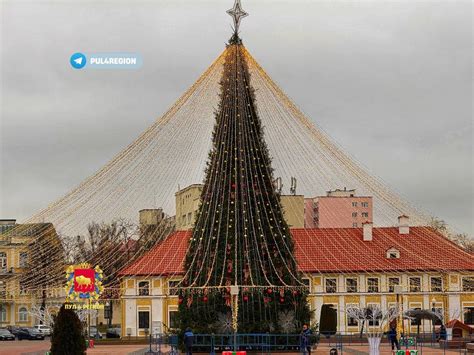 Расписание представлений на Московской областной елке