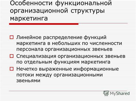 Распределение функций: специализация различных участков