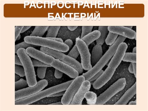 Распространение бактерий через неправильное хранение перчаток