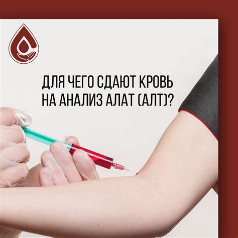 Распространенные ошибки при анализе уровня аминотрансферазы