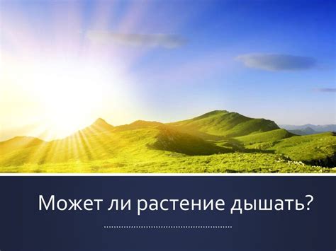 Растение не может дышать