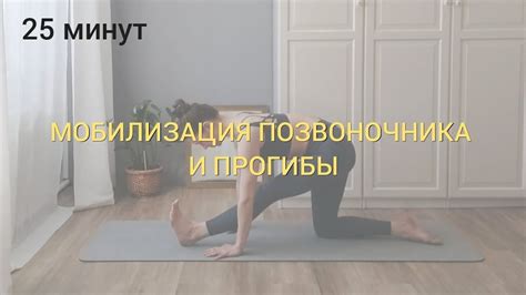 Растяжка и мобилизация позвоночника