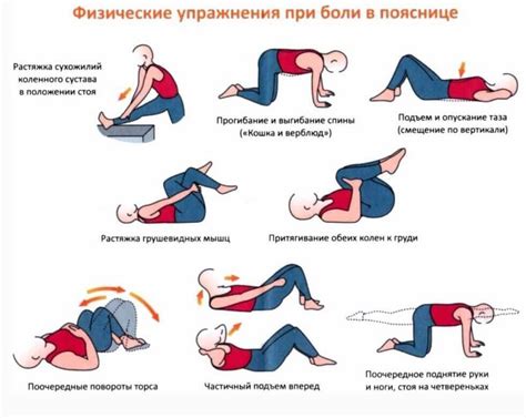 Растяжка как средство восстановления после боли в пояснице