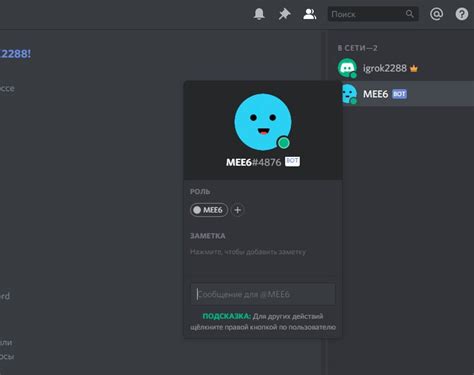 Расширенные возможности и профессиональные настройки Mee6