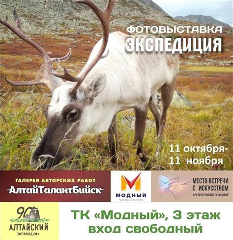 Расширяет горизонты