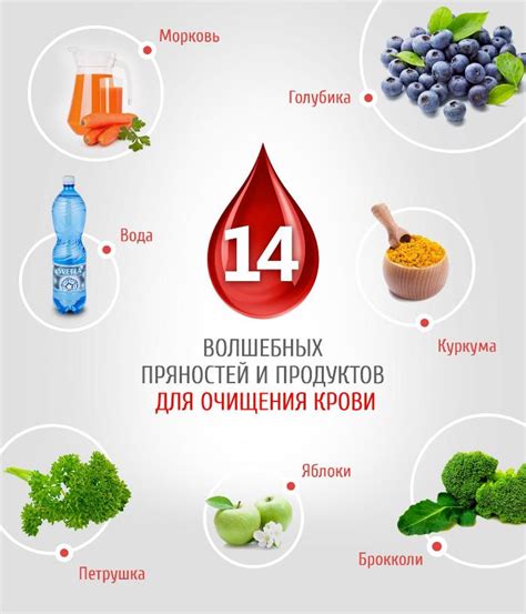 Рациональное питание для очищения лимфы и крови
