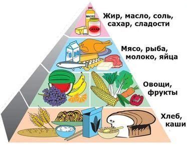 Рациональное питание для повышения роста