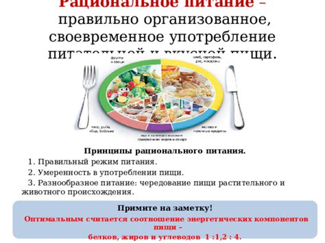 Рациональное питание и режим работы