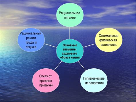 Рациональный режим тренировок и отдыха для достижения результата